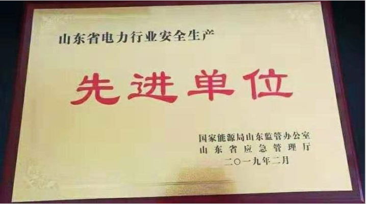 东郊热电公司荣获 2018年度全省电力安全生产先进单位